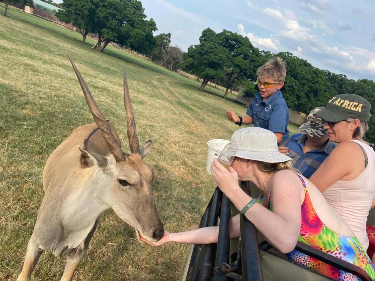 Kigeni Safari Lodge & Spa Vaalwater Zewnętrze zdjęcie