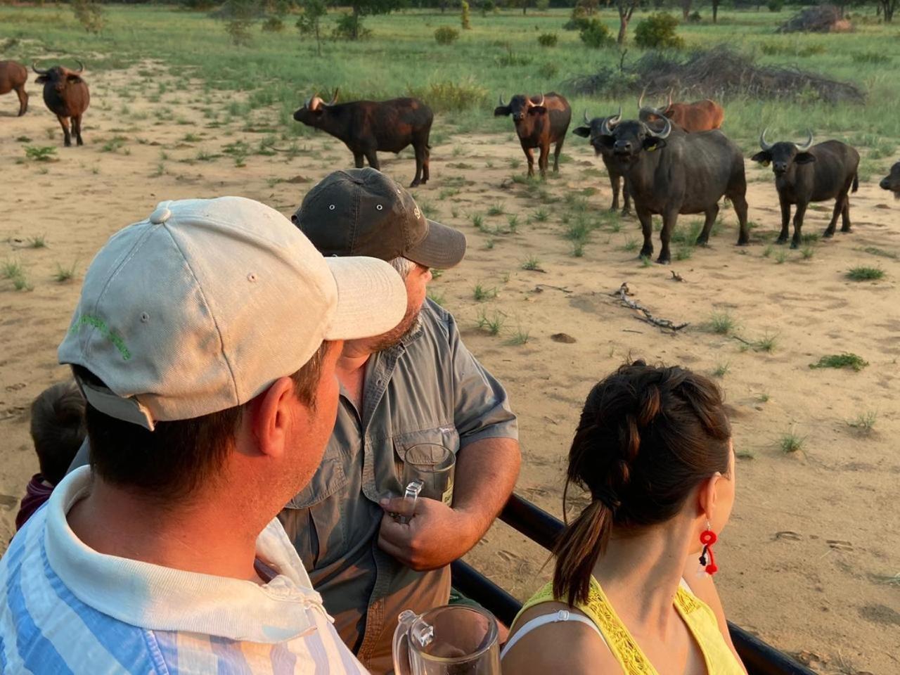 Kigeni Safari Lodge & Spa Vaalwater Zewnętrze zdjęcie