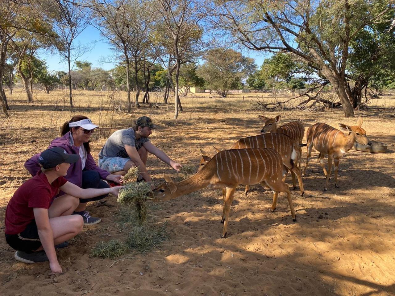 Kigeni Safari Lodge & Spa Vaalwater Zewnętrze zdjęcie